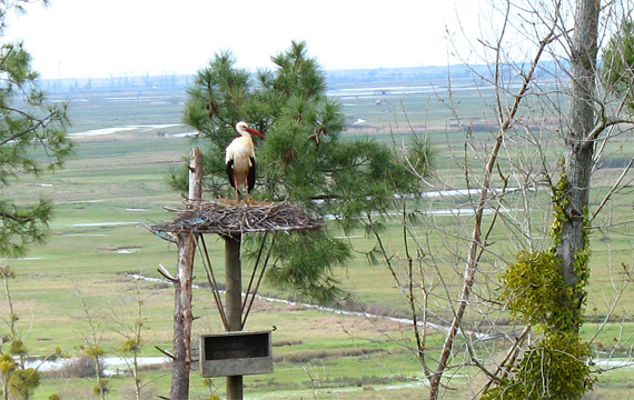 Gite charente maritime Zone Natura 2000