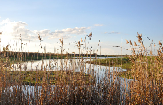 Tourisme sportif en Charente-Maritime : marais de Broauge