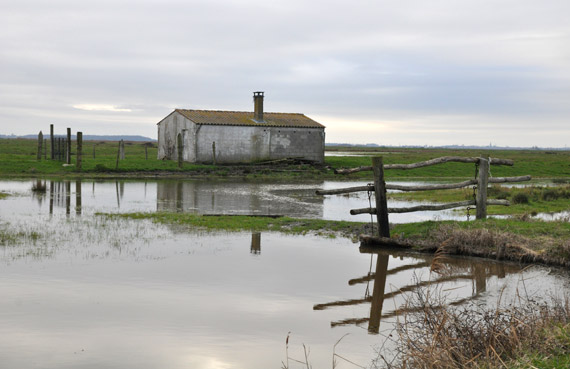 Tourisme sportif en Charente-Maritime : ostréiculture