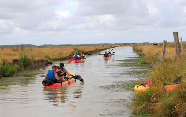 kayak