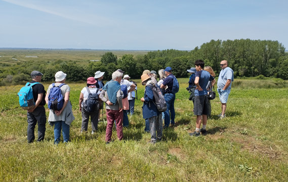 prairie gites charente maritime