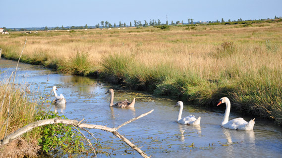 Zone natura 2000