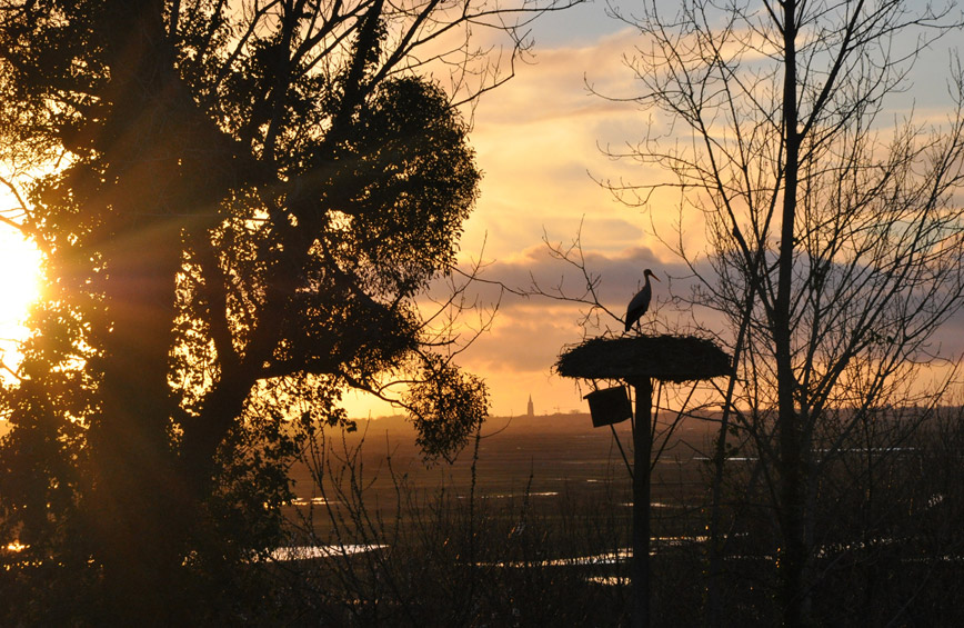 Roulotte charente maritime rochefort