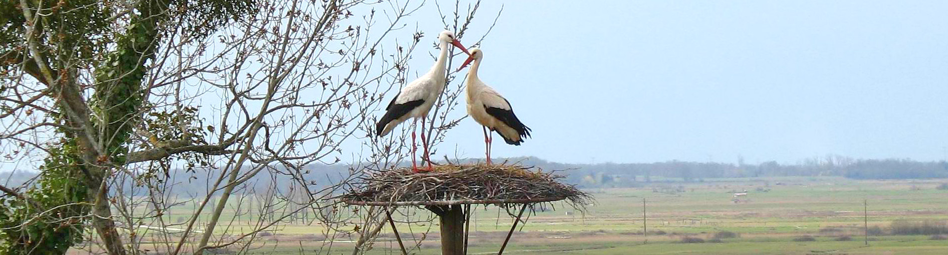 location gite charente maritime zone natura 2000