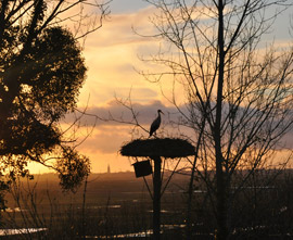 Location gite grande charente maritime zone natura 2000