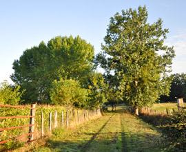 Gite charente maritime chemin de grande randonnée 